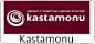 Ламинат Kastamonu